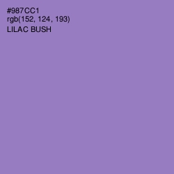 #987CC1 - Lilac Bush Color Image